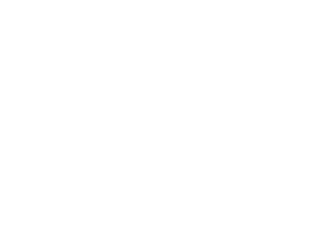 lokfittness logo web