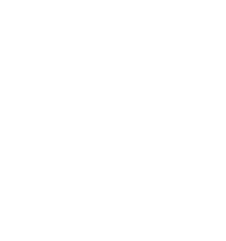 lokfittness logo web icon